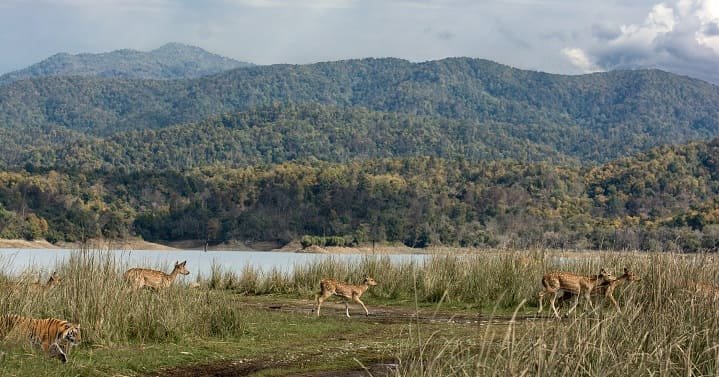 Nainital to jim corbett national park distance by car